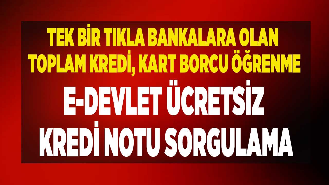 Bankalara Olan Kredi Kart Borcu Kredi Notu Sorgulama E Devlet Tc Le