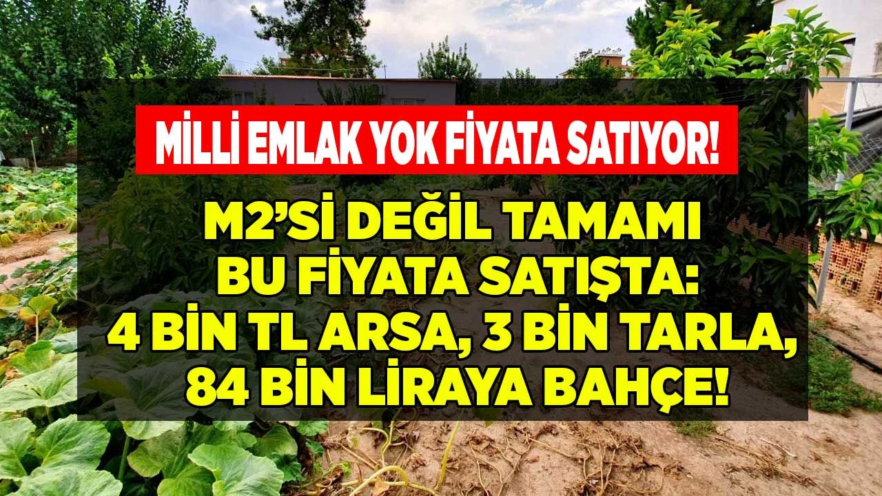 Milli Emlak Temmuz 2022 İlanları! Hazine Arazisi Arsa 4.000 TL, Tarla 3.145 TL, Bahçe 84.000 Lira! 1