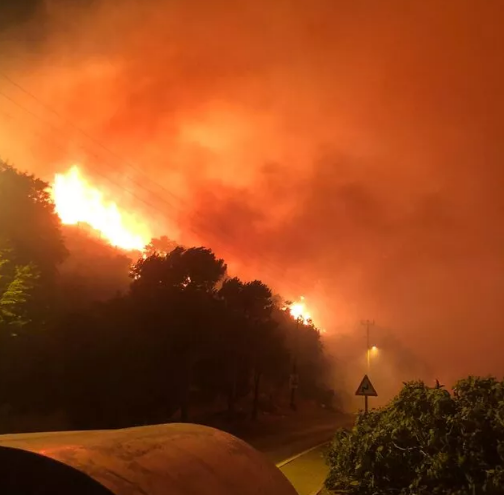 İzmir Çeşme'de orman yangını! Çeşme Ildır orman yangınında son durum ne? Belediye Başkanı yardım istedi 3