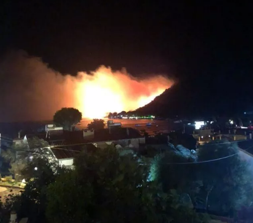 İzmir Çeşme'de orman yangını! Çeşme Ildır orman yangınında son durum ne? Belediye Başkanı yardım istedi 1
