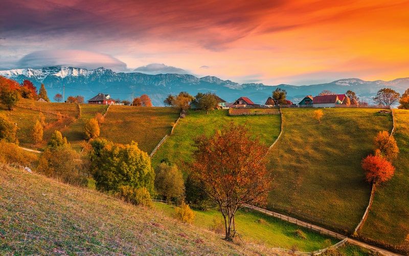 Romanya vatandaşlığı nasıl alınır? Başvurusu, şartları, gerekli belgeler 5