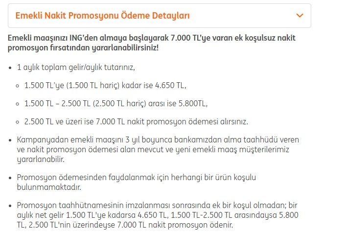 Şart, şurt, ek koşul yok! ING Bank, Akbank, QNB Finansbank, Yapı Kredi, Ziraat, Halkbank, Garanti BBVA, İş Bankası 2022 en yüksek maaş promosyonu hangi bankada? 7