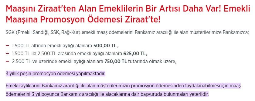 Banka müdürü bizzat kendisi duyurdu, jumbo promosyon için tarih belli oldu! PTT, Ziraat Bankası, Halkbank, Vakıfbank emekli maaş promosyonu ne kadar olacak? 5