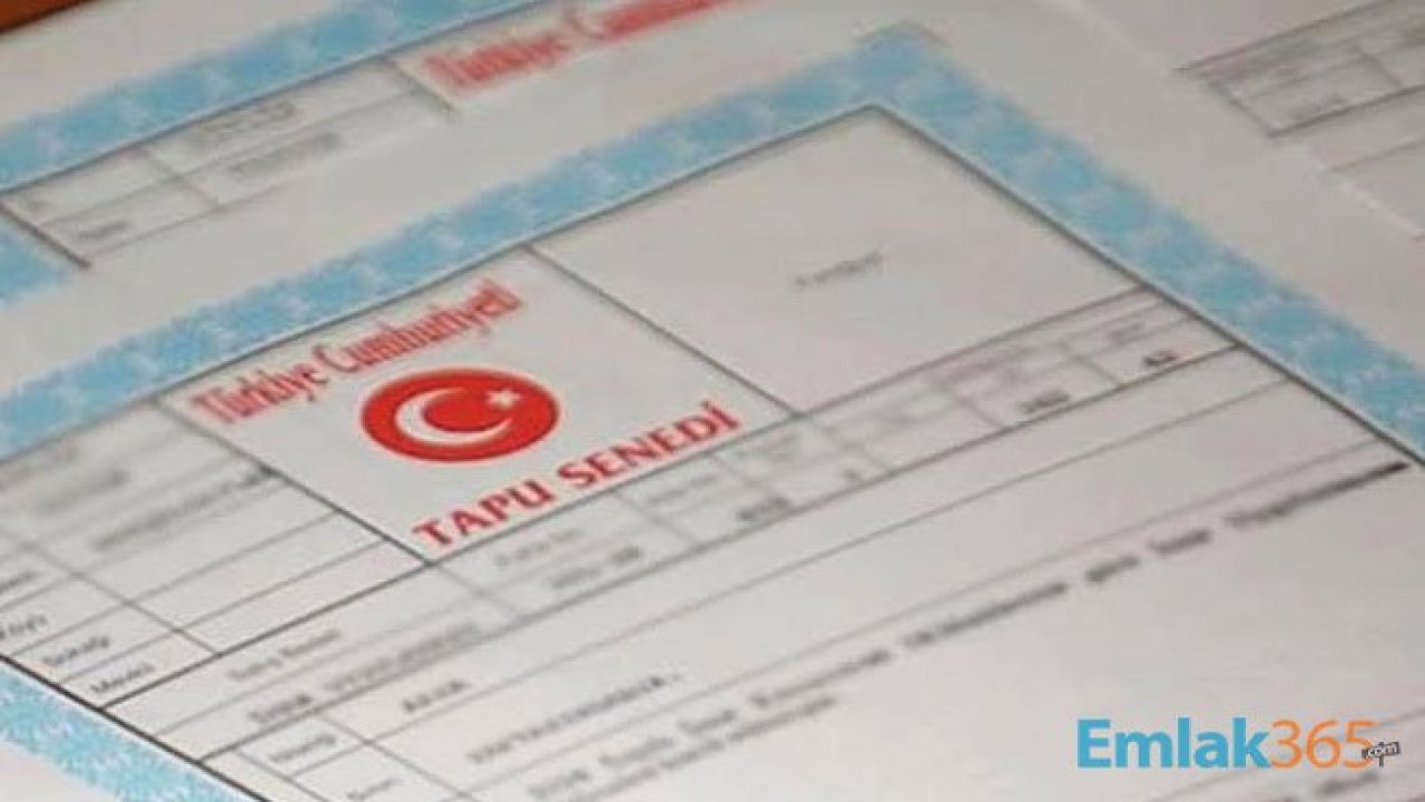 Hisseli Arsa Satışı Nasıl Olur, Hisseli Tapu Satışında Dikkat Edilmesi Gerekenler Nelerdir?