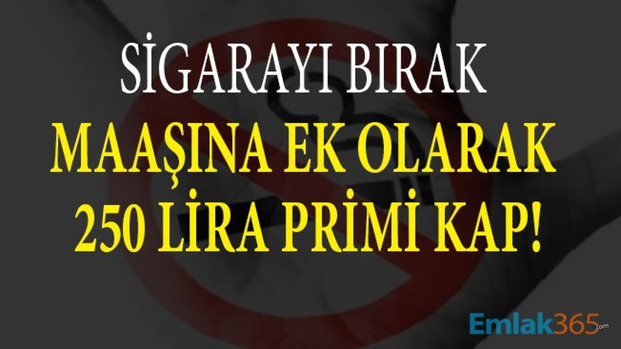 Sigarayı Bırakan Personelin Maaşına 250 Lira Teşvik Primi Eklenecek!