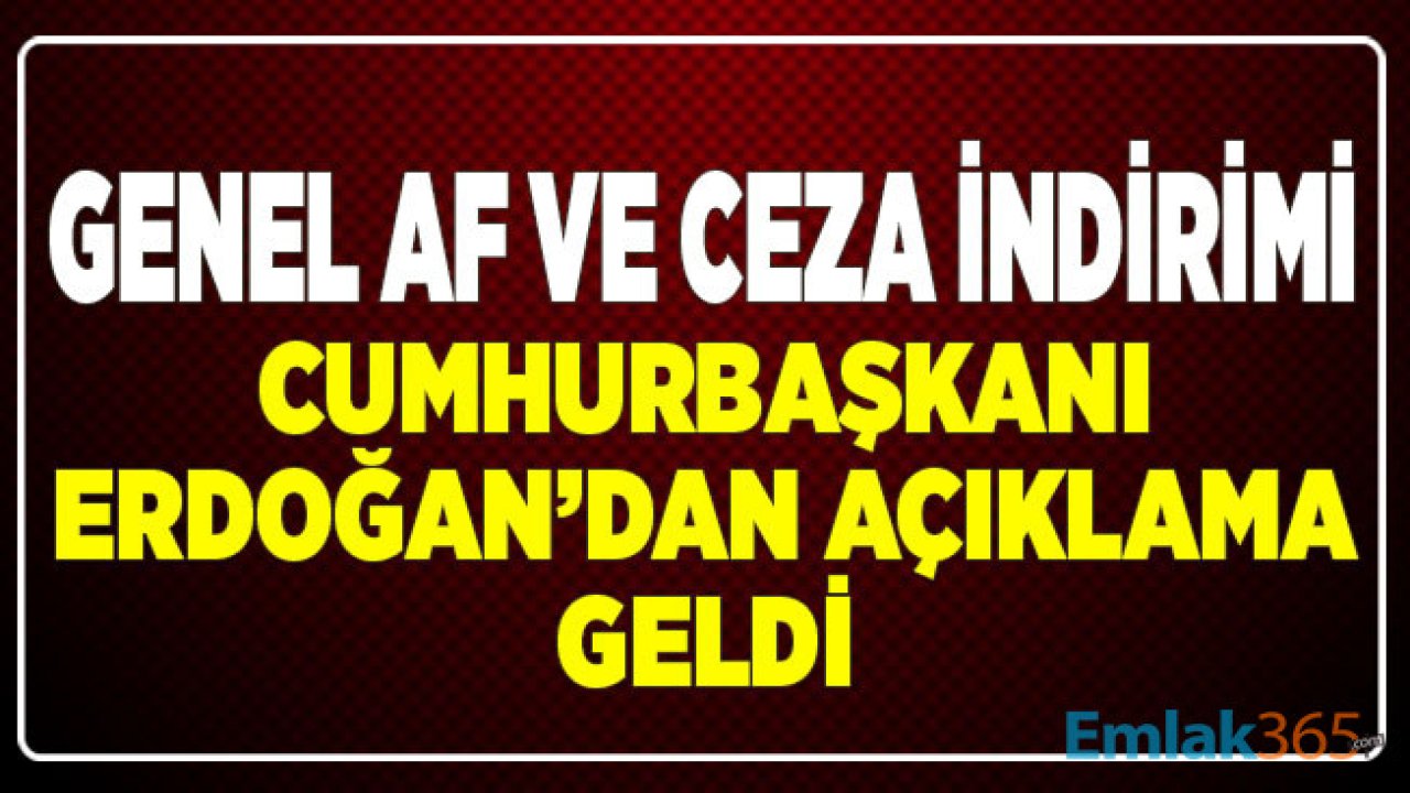 Genel Af, Ceza İndirimi ve İnfaz Düzenlemesine Dair Cumhurbaşkanı Erdoğan'dan Açıklama