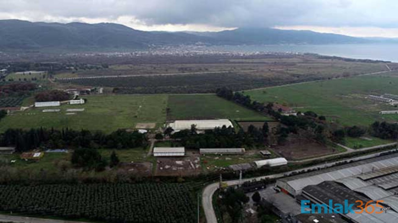 Yerli Otomobil Fabrikası Hangi Şehre Kurulacak Sorusu Yanıt Buldu! Askeri Alan Fabrika Olacak