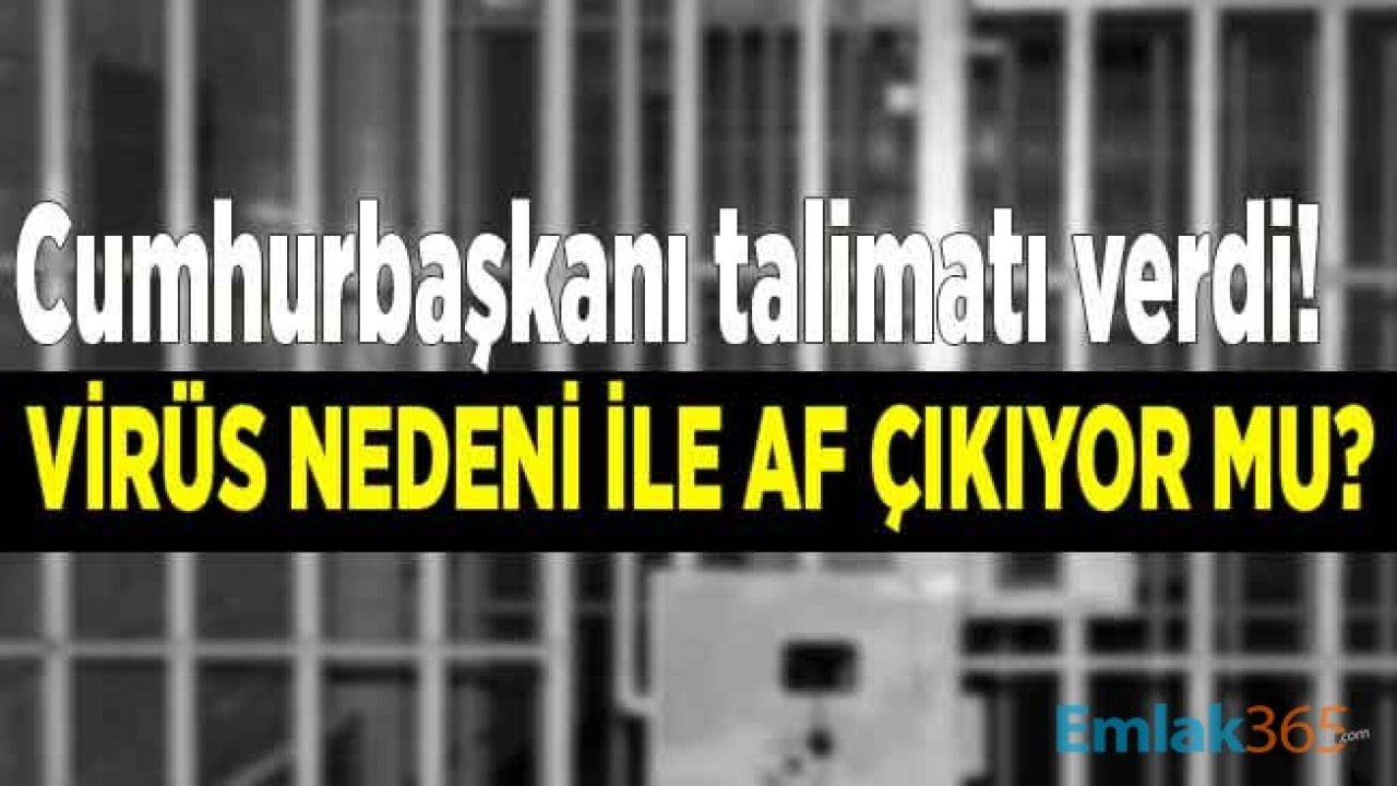 Corana Virüsü Nedeni İle Af Çıkacak Mı? Erdoğan Acil Kodlu Zirvede Koranavirüs Talimatı Verdi, Cezaevleri Riskli, Mahkumlara Yüzde 50 İnfaz İndirimi Yolda!