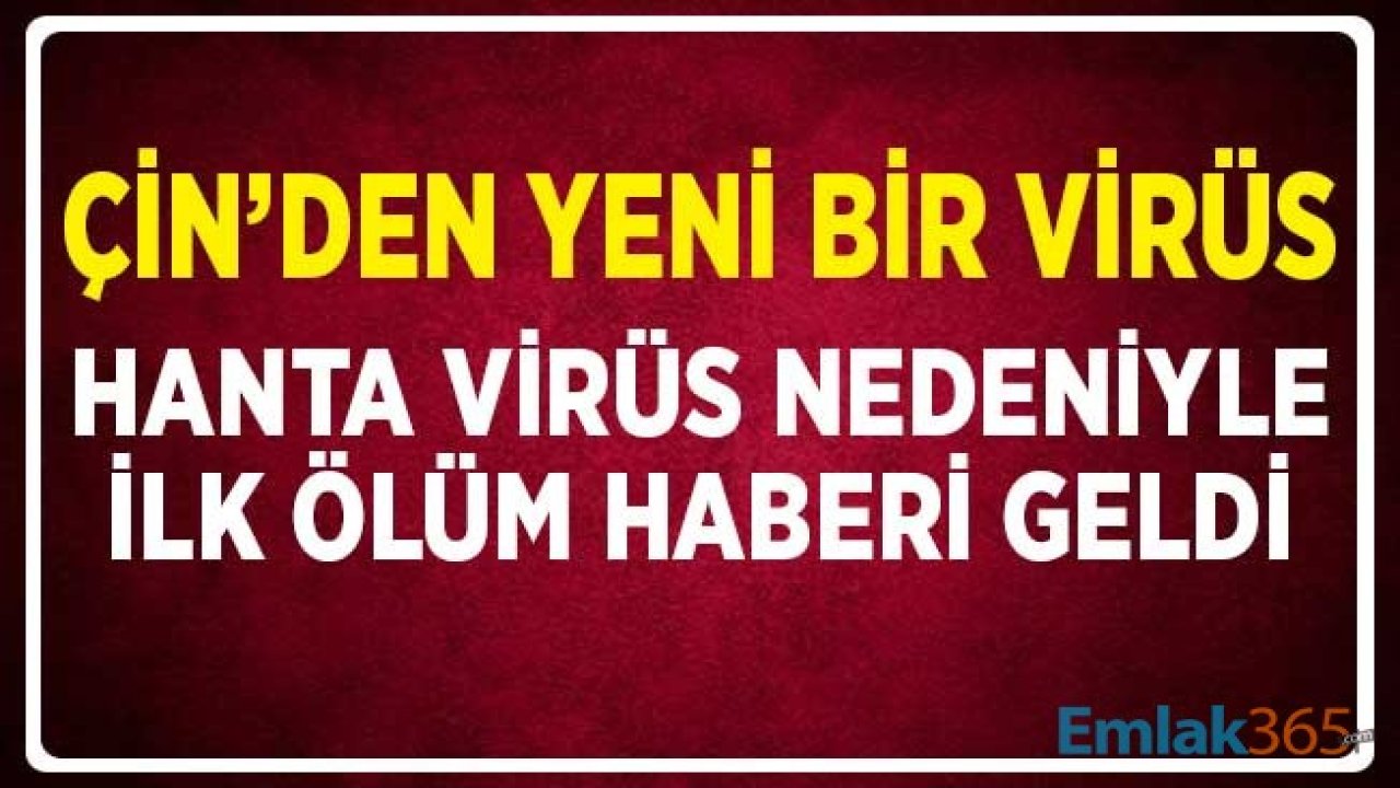 Çin'den Yeni Bir Virüs! Hanta Virüs Nedeniyle İlk Ölüm Haberi Geldi