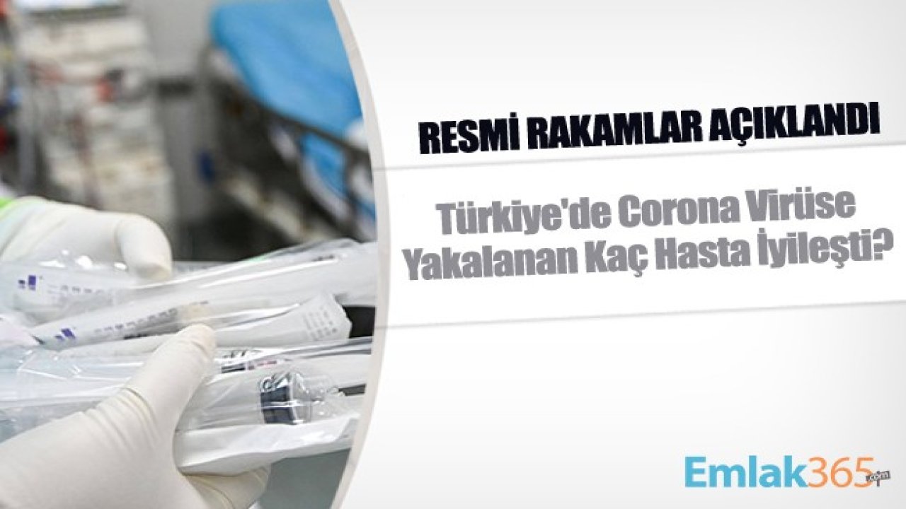 Resmi Rakamlar Açıklandı! Türkiye'de Corona Virüse Yakalanan Kaç Hasta İyileşti?