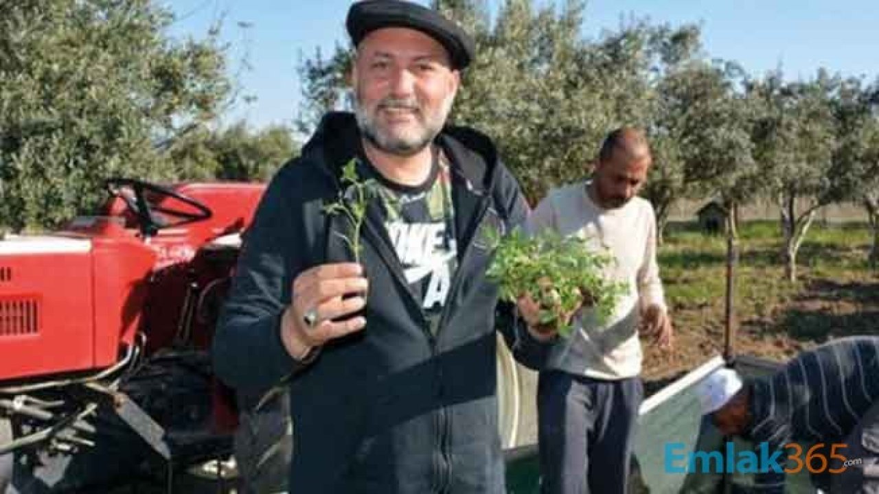 Ünlü Klarnet Sanatçısı Hüsnü Şenlendirici Köye Taşınan Ünlüler Arasına Katıldı!