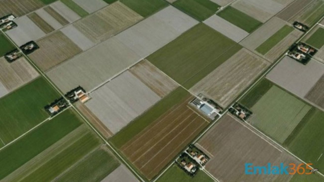 Denizli Baklan, Çal ve Çivril İlçelerinde Arazi Toplulaştırması Kararı Çıktı!