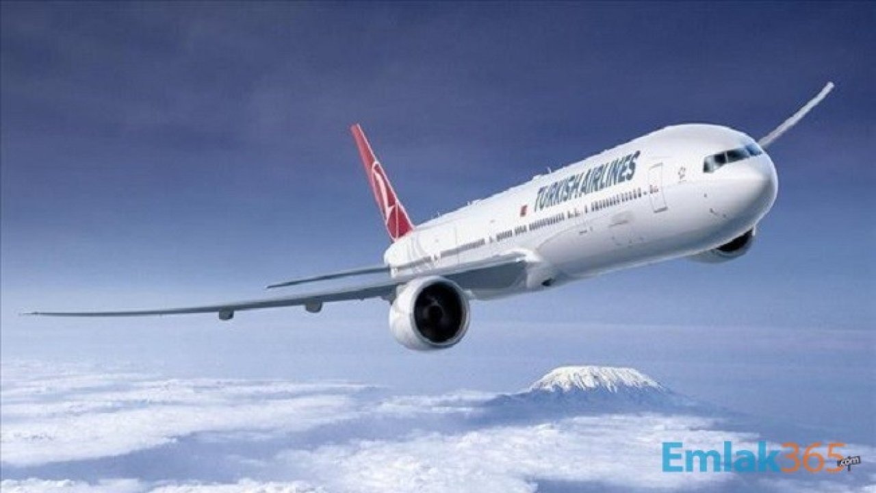 Türk Hava Yolları Uçuş Planını Açıkladı! İç Hat ve Dış Hat Seferler Ne Zaman Başlıyor?
