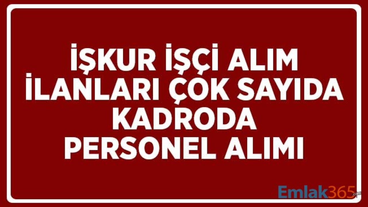 İŞKUR İşçi Alım İlanları! İnşaat İşçisi, Boyacı, Demir Bağlama, Çelik İşçisi ve Bekçi