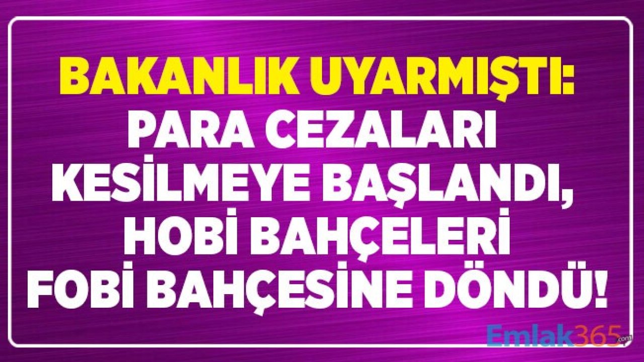 Hobi Bahçesi Almak İsteyenler, Olanlar Dikkat! Para Cezası Yağıyor, Hobi Bahçeleri İçerisine Yapılan Evler Yıkılacak Mı?