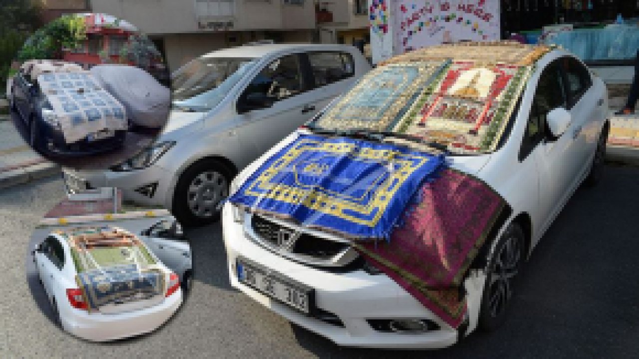 İstanbul'da Ki Dolu Hazırlıkları En Çok Kedileri Sevindirdi