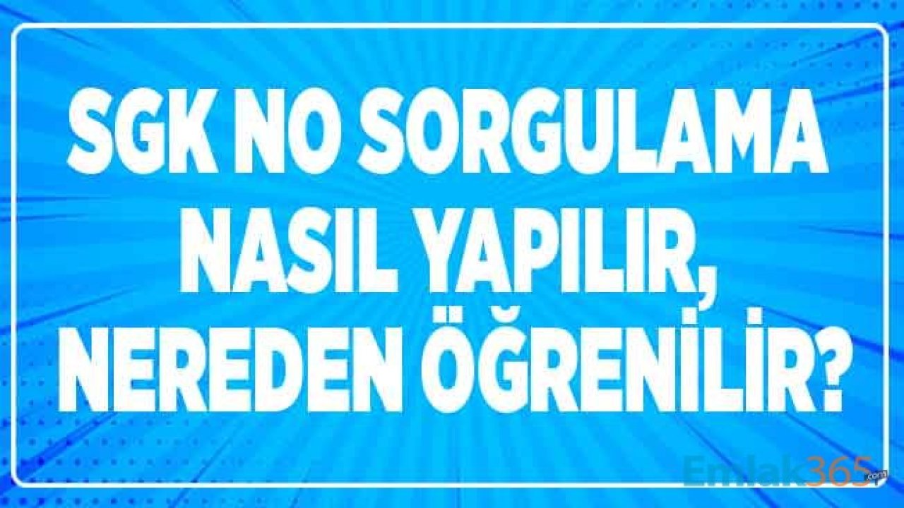 SGK NO Sorgulaması Nasıl Yapılır,  Nereden Öğrenilir?