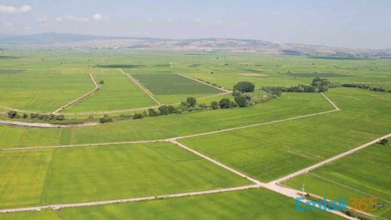 Sosyal Güvenlik Kurumu'ndan Şanlıurfa'da 39 Arsa ile 1 Tarla Satışı için İhale Duyurusu