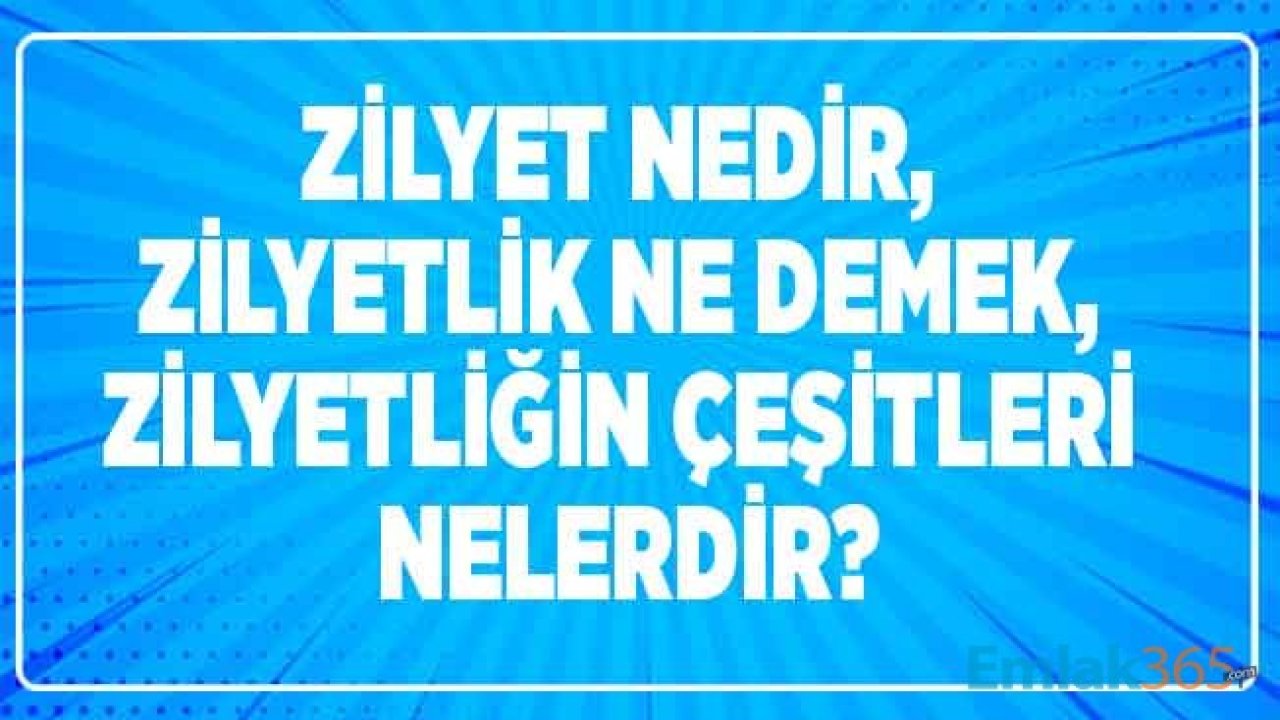 Zilyet, Zilyetlik Nedir, Zilyetliğin Çeşitleri Nelerdir?