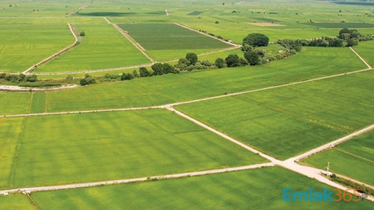 Vatandaş Yeniden Arsa ve Arazi Yatırımı Yapmaya Başladı, Fiyatlar Yüzde 400 Arttı!