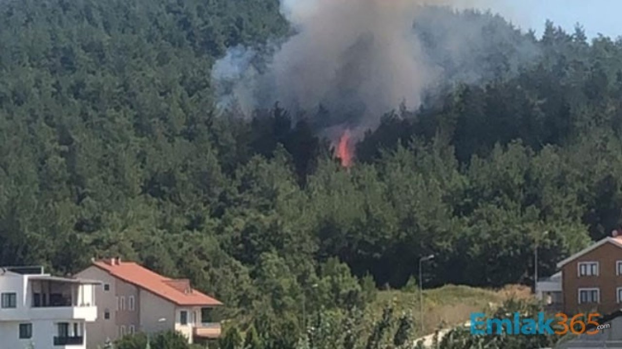 Bursa Nilüfer Demirci Mahallesi Yangın Son Dakika Haber: Yangın Lüks Villalara Sıçradı!