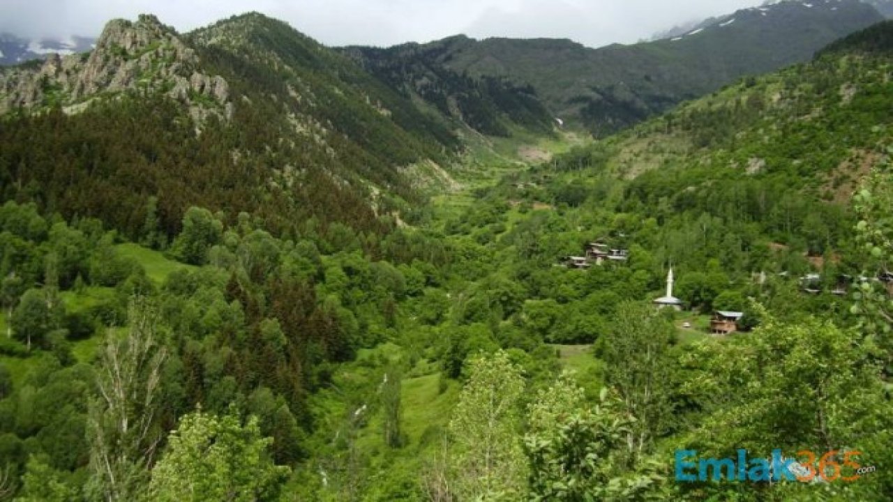 Yaz Aylarının Son Fırsatını Değerlendirip Tatile Çıkmak İsteyenler İçin Cennet Gibi Tatil Yeri Önerileri!