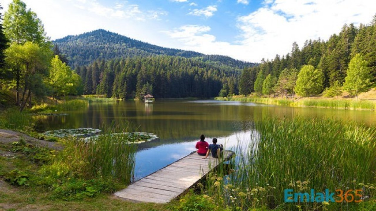 Bu Mevsimde Sakin Bir Tatil Yapılabilecek En Güzel Karadeniz Yaylaları!