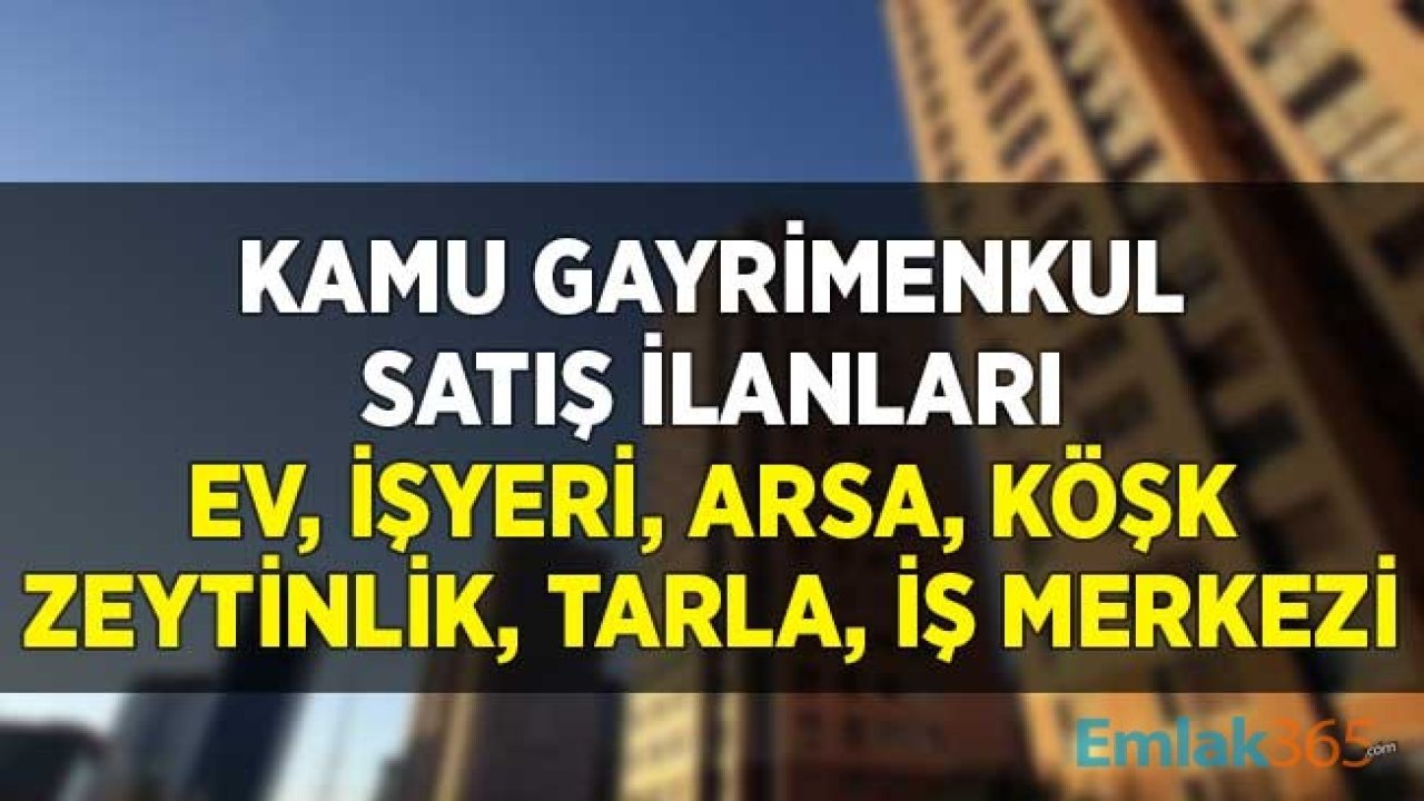 Kamu Gayrimenkul Satış İlanları! Ev, İşyeri, Arsa, Zeytinlik, Tarla, Köşk, İş Merkezi