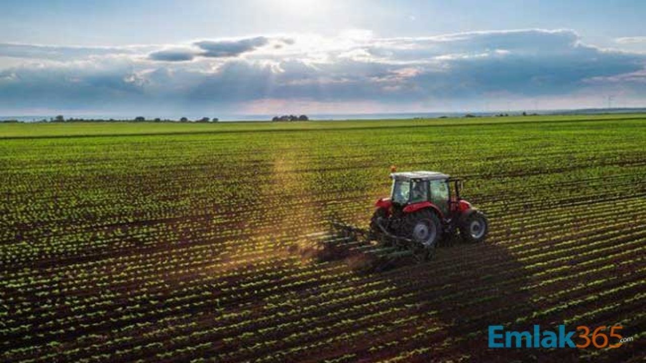 Belediyeden 33 Bin 200 Metrekarelik Tarlanın Kiralanması için İhale Duyurusu