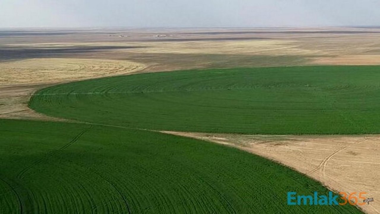 Hazineye Ait Tarım Arazilerinin Çiftçilik Yapmak İsteyenlere Kiralanması İçin 6 Pilot İl Seçildi!