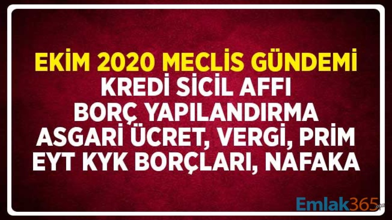 Ekim 2020 Meclis Gündemi: Kredi Sicil Affı, Borç Yapılandırma, Asgari Ücret, Vergi, Prim, EYT, KYK Borçları, Nafaka