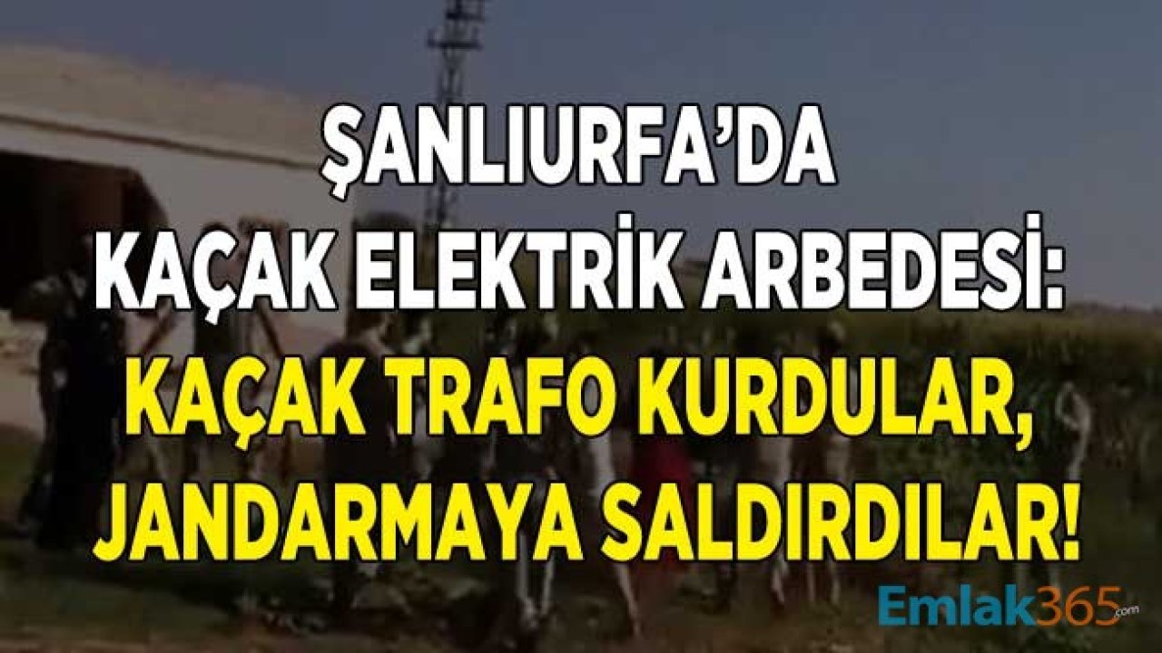 Şanlıurfa'da Kaçak Elektrik Denetiminde Arbede Yaşandı, 1 Asker Yaralandı!