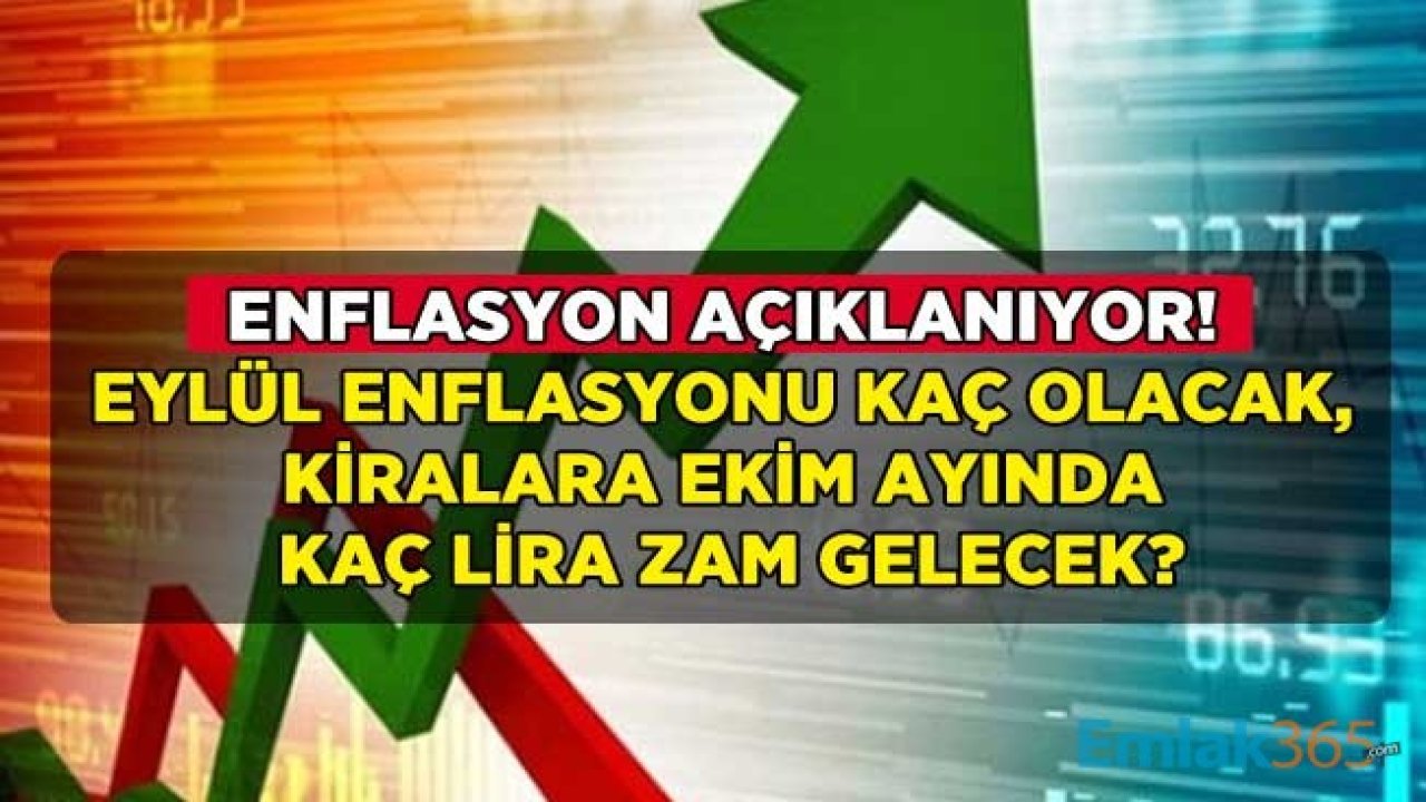 Eylül Ayı TÜİK TEFE TÜFE Enflasyon Rakamları Açıklanıyor! Ekim Ayında Kirala Kaç TL Zam Gelecek, Ev Sahipleri Kiraya Ne Kadar Zam Yapabilir?