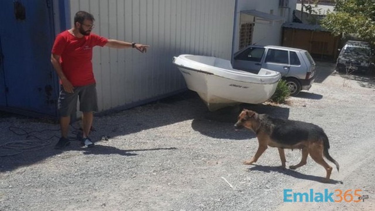 Köpeğin Bulduğu Kafatasından Vahşi Cinayet Çıktı! Annesi Müge Anlı'da Oğlunu Aylarca Aramıştı!