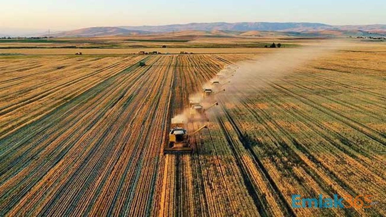 Tarım Arazisinin Amacı Dışında Kullanımına İmkan Sunan İstisnalar