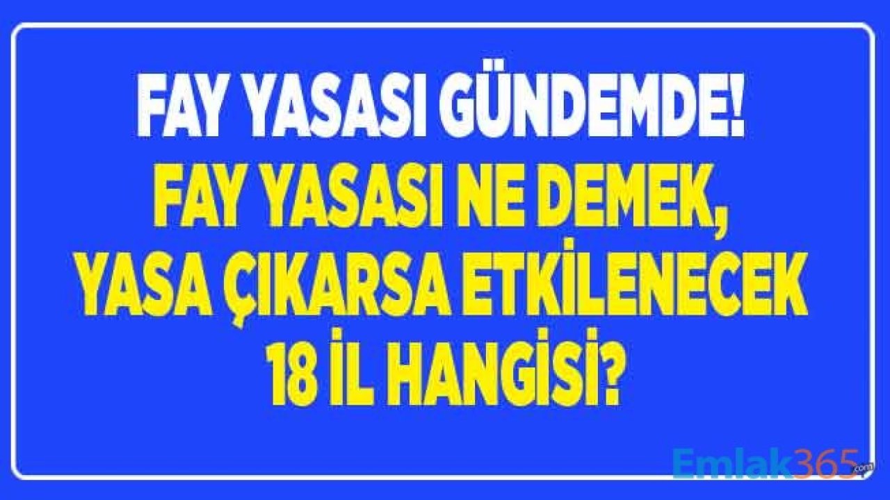 İzmir Depremi Sonrası Fay Yasası Yeniden Gündemde! Fay Yasası Ne Demek, Hangi İllerde Var, 18 İl Hangileri?