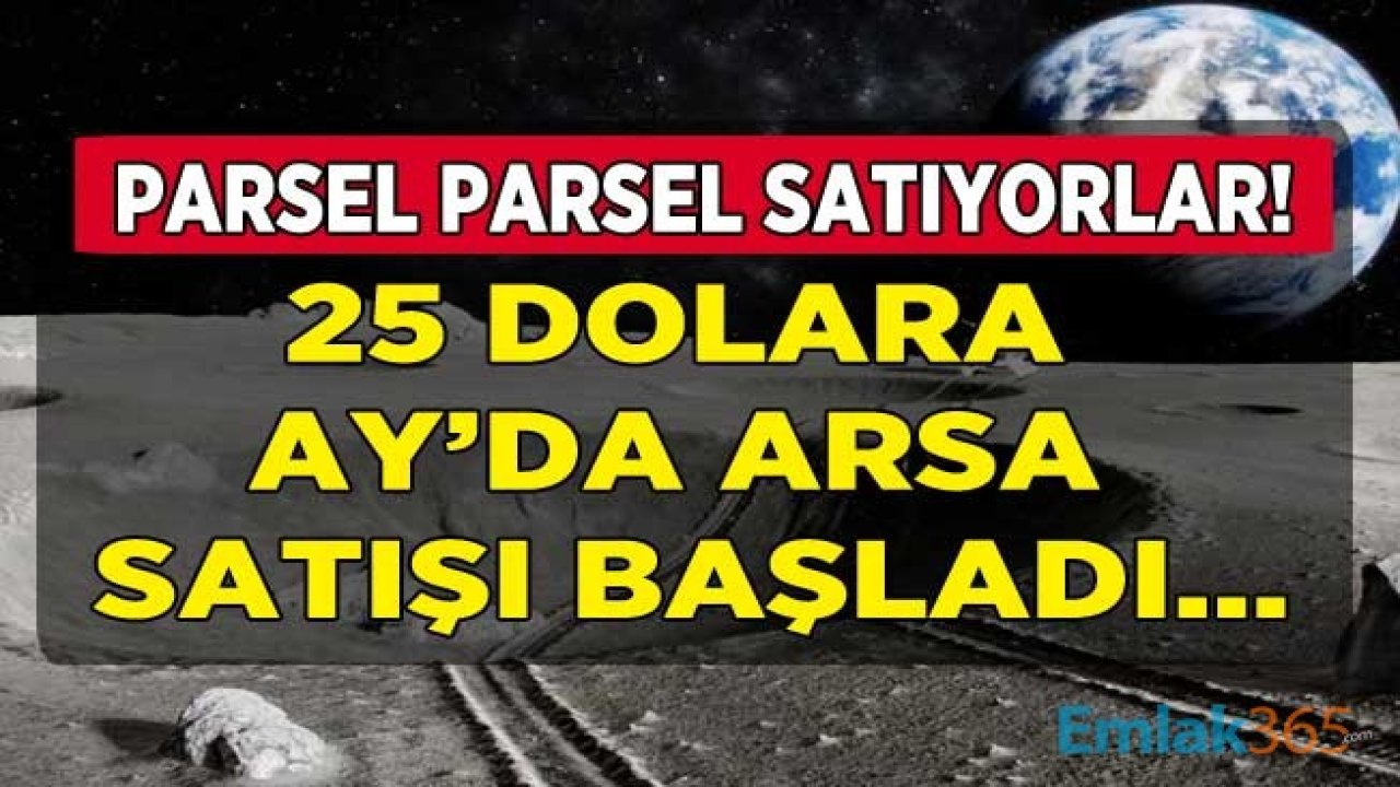 Ay'da Arazi Satışı Başladı! Satılık Arsa Fiyatları 25 Dolardan Başlıyor! Tapular Yasal Mı?