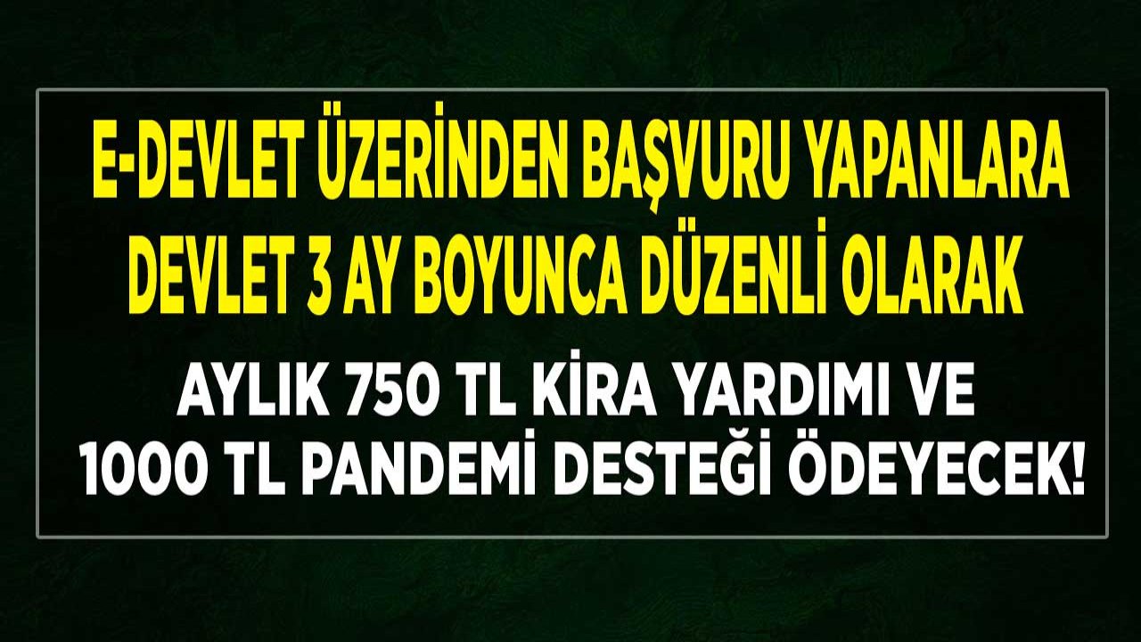 Devlet Başvuru Yapanlara 3 Ay 750 TL Kira Yardımı ve 1000 TL Pandemi Desteği Parası Ödeyecek!