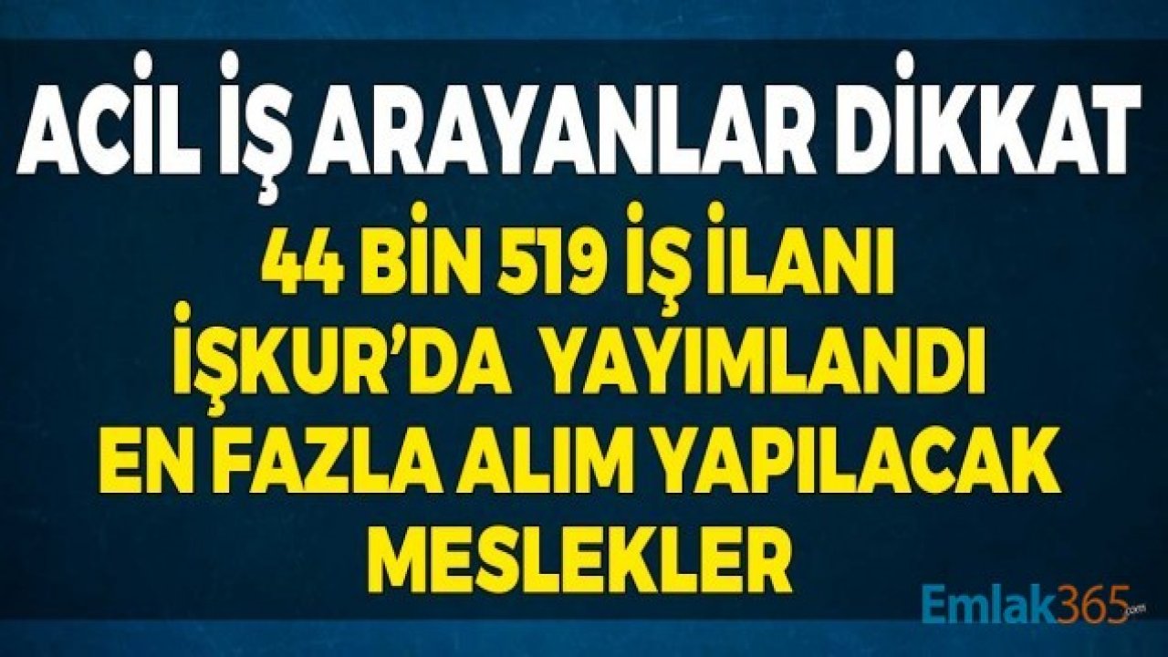 Acil İş Arayanlar Dikkat! 44 Bin 519 İş İlanı İŞKUR'da Yayımlandı, En Fazla Alım Yapılacak Meslekler