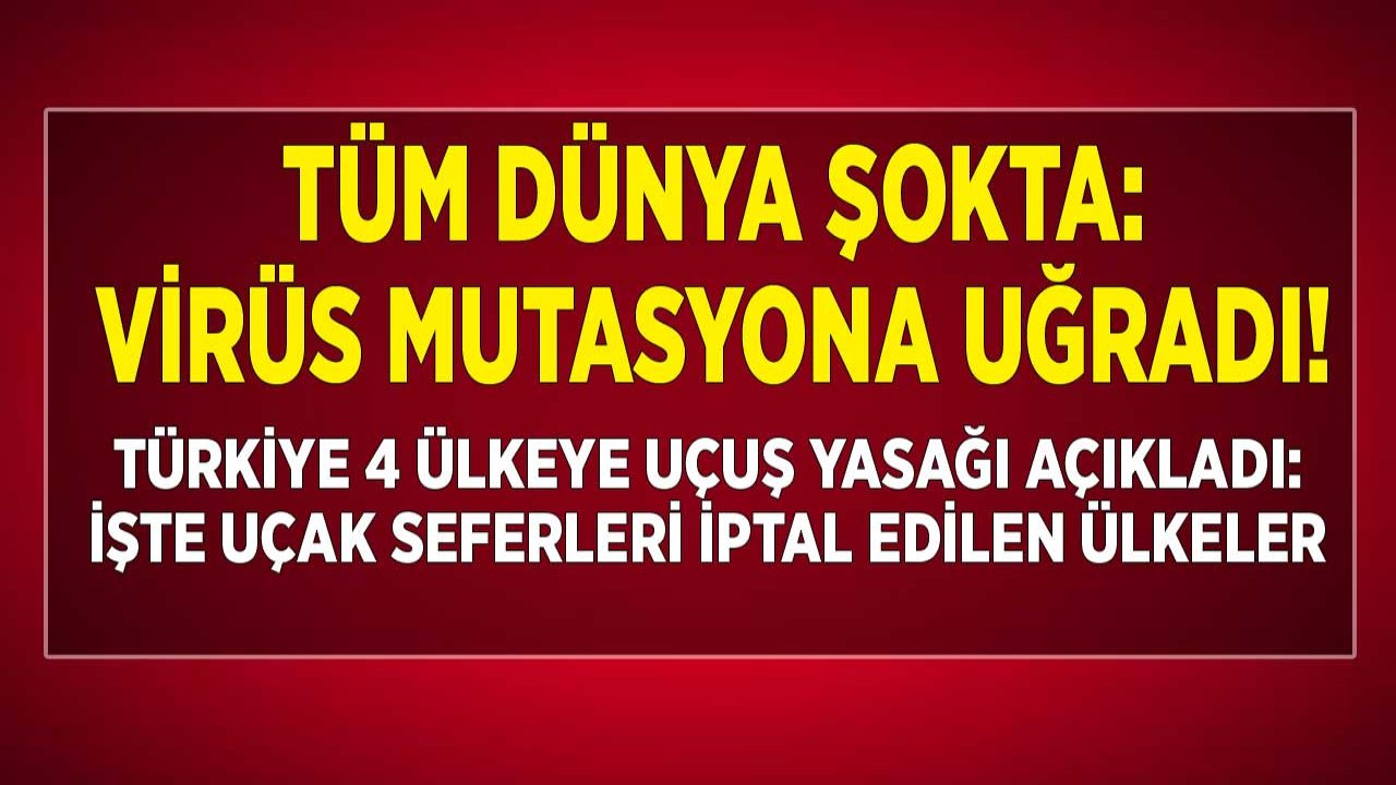 SON DAKİKA: 4 Ülkeye Uçak Seferleri İptal Edildi! Uçuş Yasağı Olan Ülkeler Hangileri, Bilet Paraları Ne Olacak?