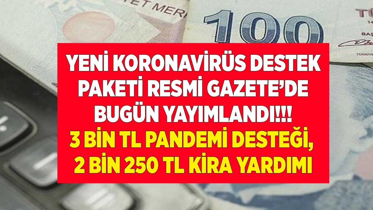 Yeni Koronavirüs Destek Paketi Resmi Gazete'de Yayımlandı: 3 Bin TL Pandemi Desteği, 2 Bin 250 TL Kira Yardımı Parası