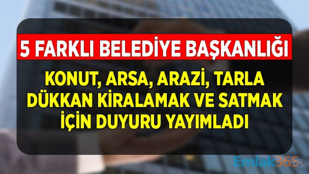 5 Belediye Başkanlığı'ndan Gayrimenkul Satış ve Kiralama İhale İlanı