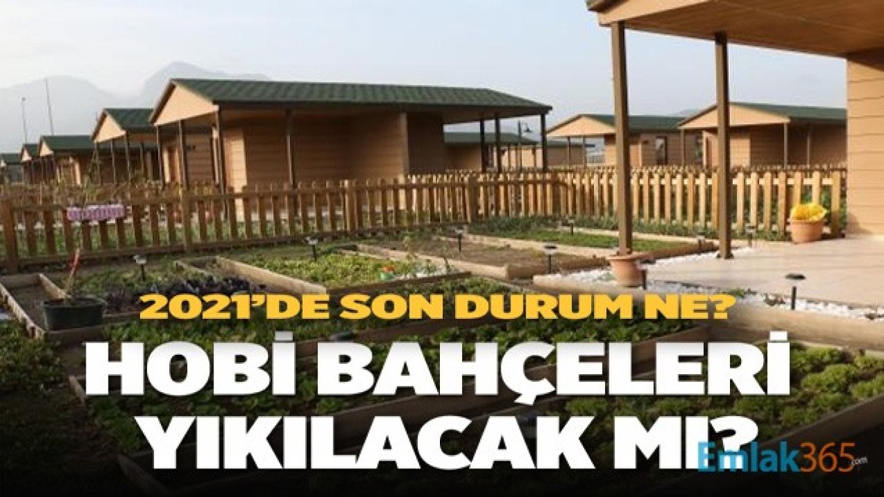 2021 Yılında Hobi Bahçeleri Yıkılacak Mı, Af Mı Gelecek?