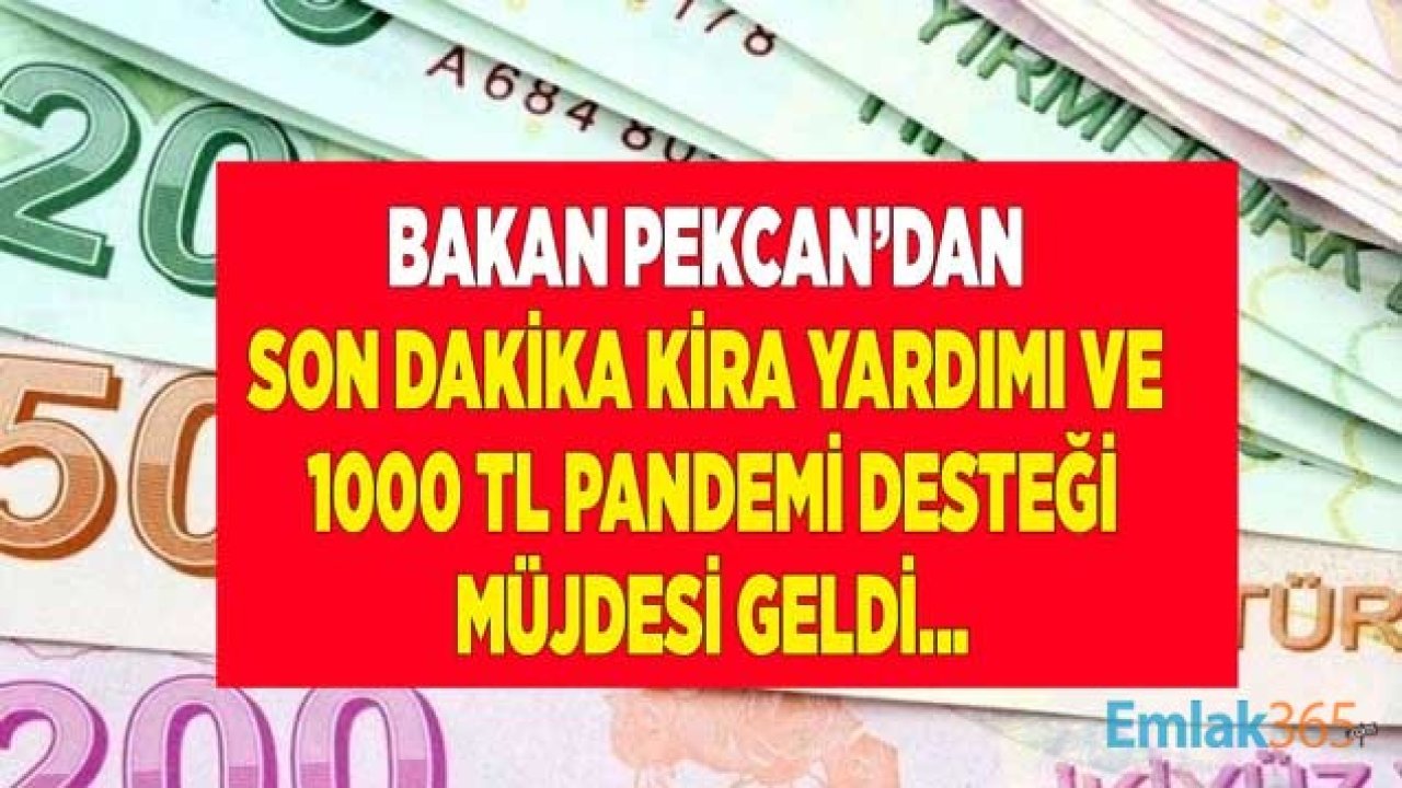 Bakan Pekcan'dan Son Dakika Esnafa Kira Yardımı ve 1000 TL Pandemi Desteği Açıklaması!