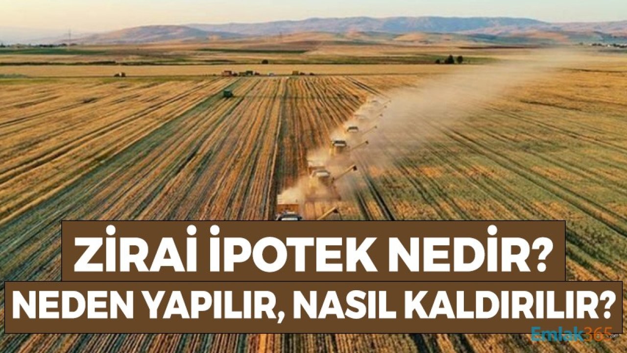 Zirai İpotek Nedir, Neden Yaptırılır, Nasıl Kaldırılır?