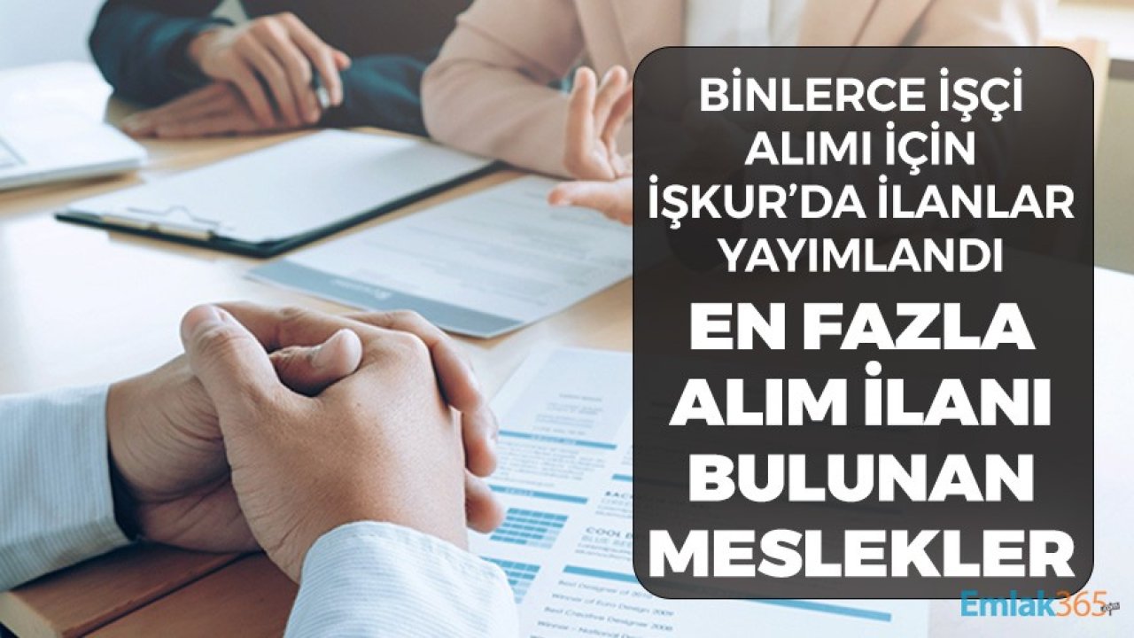 Binlerce İş İlanı Yayımlandı! 81 İl Geneli En Az İlkokul Mezunu Personel Alınacak