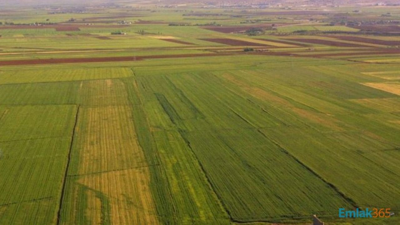 İstanbul Başakşehir'de 199 Bin 553 Metrekare Arazi Kiraya Verilecek