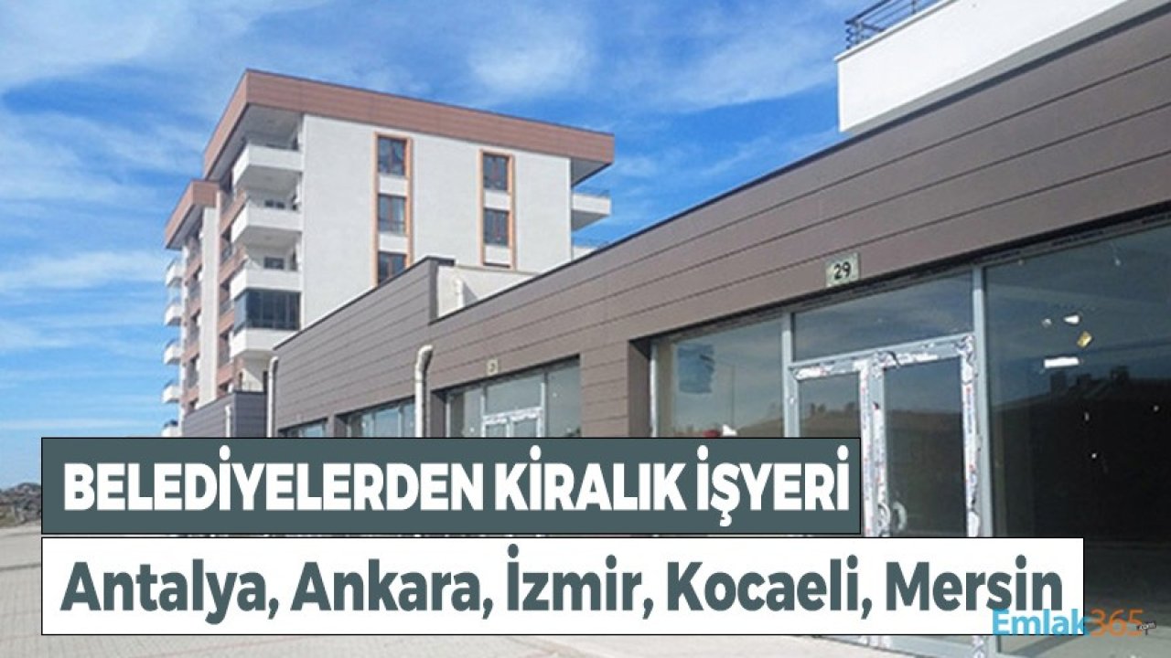 Antalya, Ankara, İzmir, Kocaeli, Mersin'de 5 Belediyeden Kiralık İşyeri İlanları