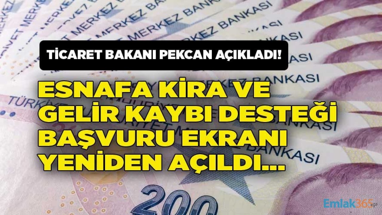 Bakan Pekcan'dan Esnafa Kira Yardımı ve Gelir Kaybı Desteği Müjdesi: E Devlet Başvuru Ekranı Yeniden Açılıyor!