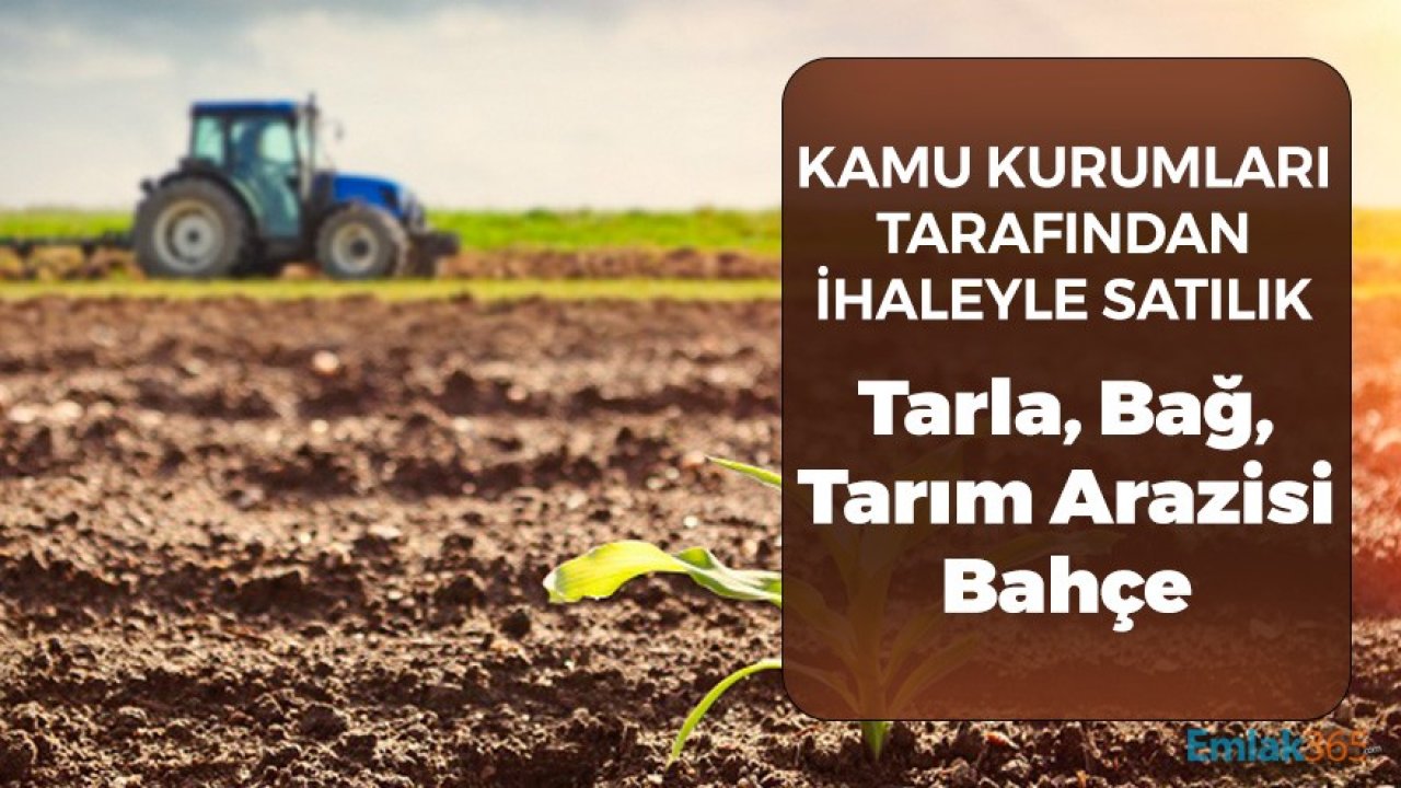 Kamu Kurumlarından İhaleyle Satılık Tarla, Tarım Arazisi, Bağ, Bahçe Duyuruları! 10 Şehir için İl İl Liste